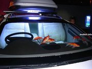 Продам автомагнитолу SONY